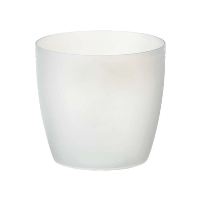 brussels orchidée 12,5cm transparent